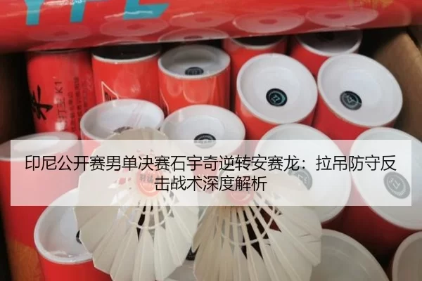 yin-ni-gong-kai-sai-nan-dan-jue-sai-shi-yu-qi-ni-zhuan-an-sai-long-la-diao-fang-shou-fan-ji-zhan-shu-shen-du-jie-xi-2-714.jpg