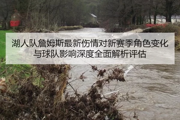 湖人队詹姆斯最新伤情对新赛季角色变化与球队影响深度全面解析评估